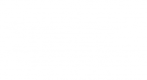 spectral-logo-vektorisiert_weiss