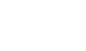 Metal Inquisitor